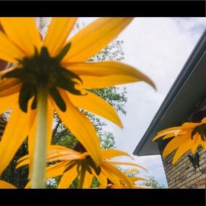 Meet your Posher, Jaelyn